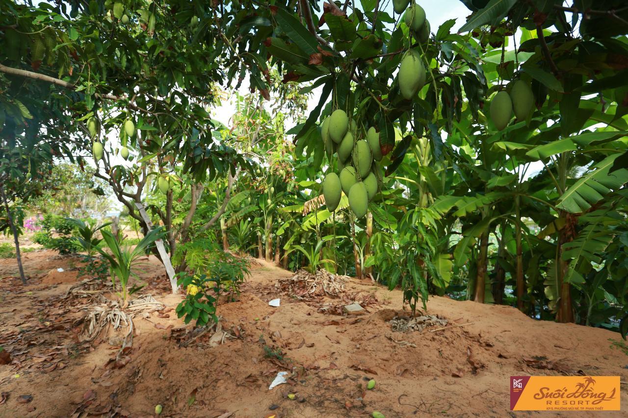 Suoi Hong Resort Mũi Né Extérieur photo