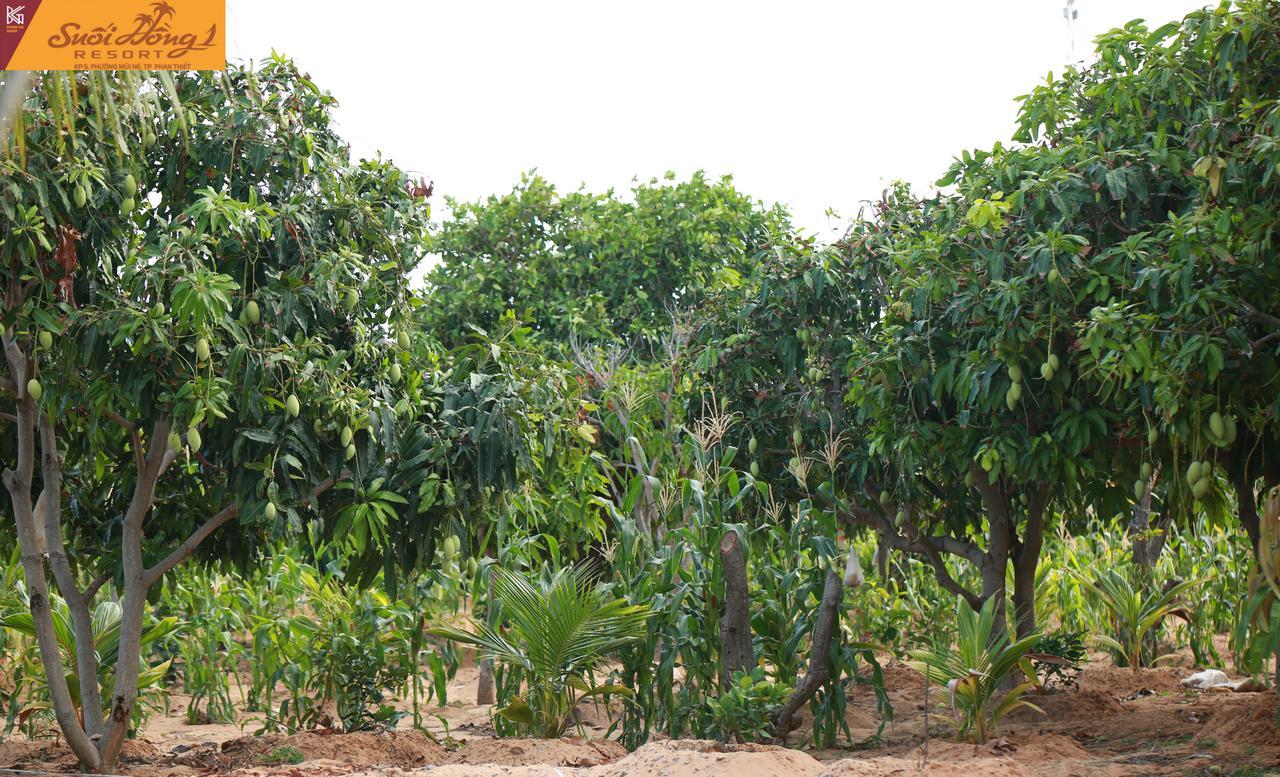 Suoi Hong Resort Mũi Né Extérieur photo